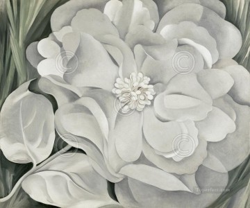 白いキャラコの花 Oil Paintings